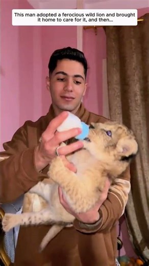 This Man Rescued a Weak Wild Lion and Helped Nurse It Back to Health, and Then…