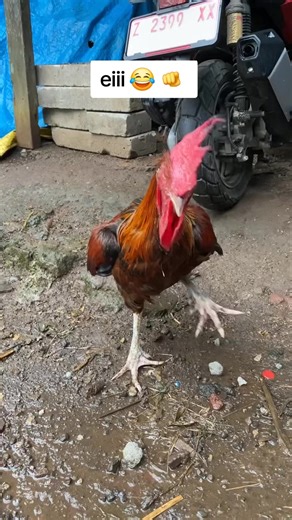 #2025 #tiriki #loading #fyp #videoviral | 2025 video