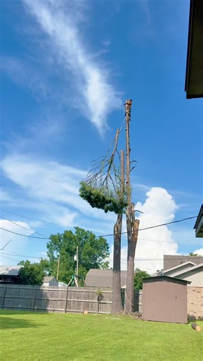 A Day in the Life of an American Logger: Hard Work