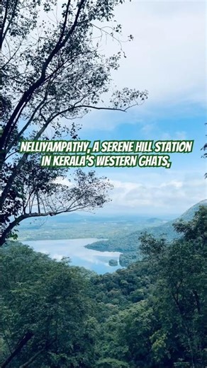 Frames of Nelliyampathy ⛰️🍃 #nelliyampathy #palakkad #mannarkad