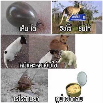 ค่าน้ำนม version สัตว์โลกอมตีน
