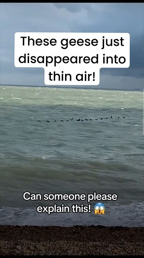 Epic Psychology on Instagram: "World is a strange place 🤔 #psychology #mentalhealth #love #therapy #mentalhealthawareness #anxiety #motivation #psychologist #selfcare #mindfulness #selflove #life #psicologia #mentalhealthmatters #depression #philosophy #health #psychologyfacts #psychotherapy #healing #quotes #art #psychologystudent #mindset #wellness #meditation #inspiration #mentalillness #mind #therapist"