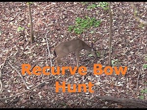 Bow Hunting in the South-Hunting Acorns-Tradbow (Graphic)