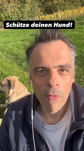 12K views · 703 reactions | Wenn du Probleme mit deinem Hund hast,...