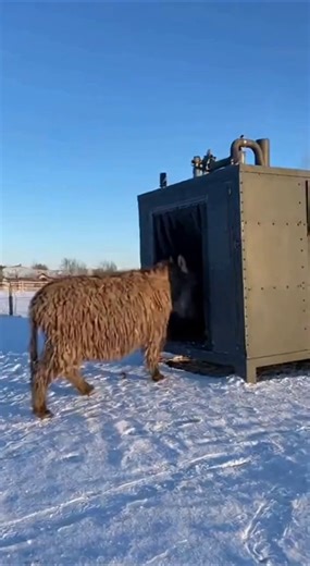Futuristic Farm - Streams of light shaping tomorrow 🌌