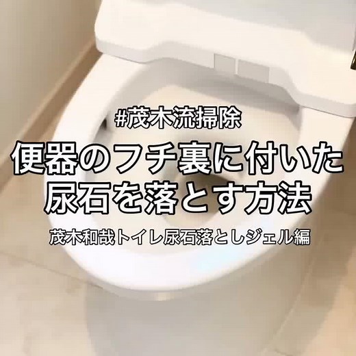 【トイレ掃除】便器のフチ裏に付いた尿石を落とす方法 茂木和哉トイレ尿石落としジェル編【茂木流掃除】