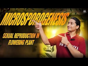 Microsporogenesis: Process, Stages, and Significance