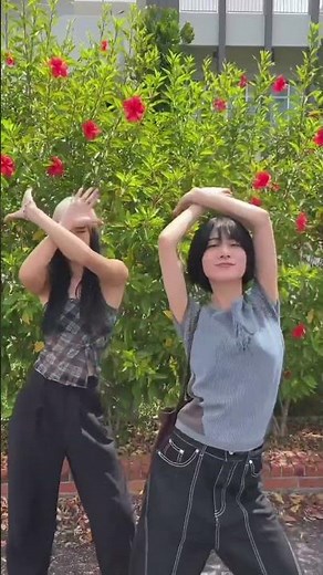 沖縄でハイテクハイカラハイビスカス🌺 #exwhyz #イクスワイズ #ドンクライ