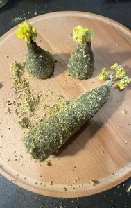 Herbal Candle Without Wick - Etsy