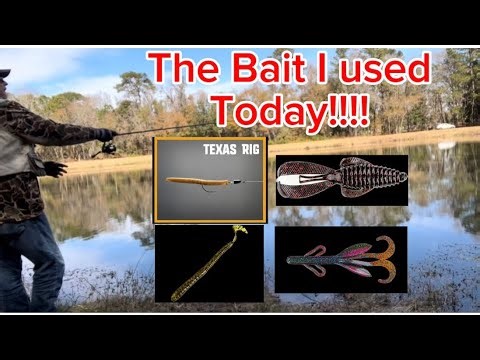 SOUTHEAST GEORGIA BASS BAITS TESTED