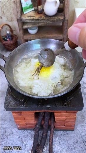 Fried rice without meat? Not willing to settle for less, thankfully a fly came along! #EggFriedRice