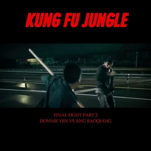 KUNG FU JUNGLE FINAL FIGHT PART 2 || DONNIE YEN VS WANG BAOQIANG #film #movie #donnieyen