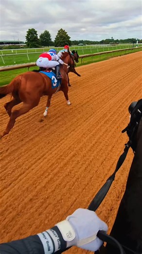 Ramon F Moya on Instagram: "Just some Racehorses racing.   #horseracing #racehorses #jockey #jockeypov #thoroughbreds #athlete #racetrack #horses"