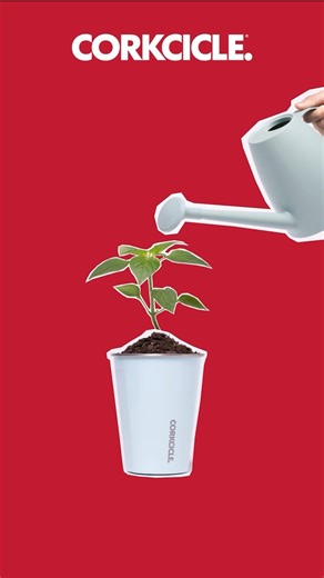 Reusing > Recycling. Do your part this year in style with sustainable drinkware. Lucky for you, style and sustainability aren’t trade-offs. | CORKCICLE