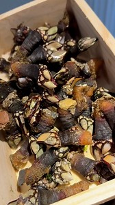 I never thought I’d say barnacles are delicious 🙈 Percebes also known as gooseneck barnacles are one of the most expensive seafood items in the world- this is because they are so dangerous to harvest. Percebes are super easy to coook you just have to boil them then shock them in an ice bath. This makes them much easier to peel! The flavor is similar to lobster and the texture is chewy like squid! These are traditionally served with lemon and butter ❤️ #reels | Soozie the Foodie