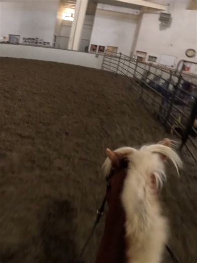 GoPro slow motion! #4urpage #equestrianjourney #equestrian #jumpingmusic#horsetok #mylitlepony