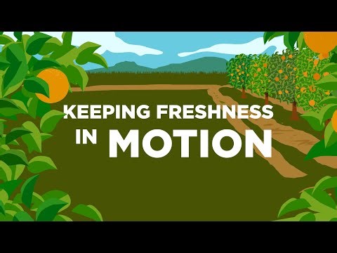 Keeping Freshness in Motion | Trailer Bridge