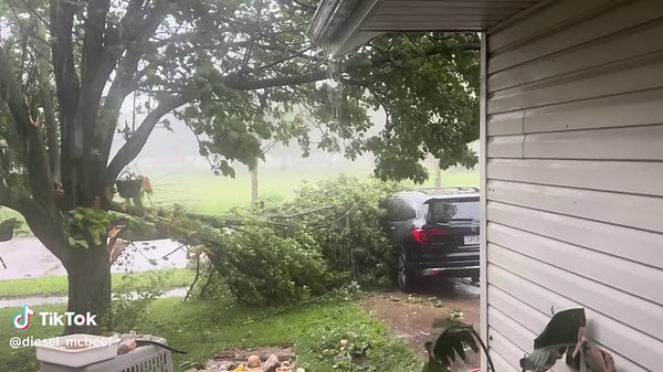 Impact of 80mph Winds on Local Environment