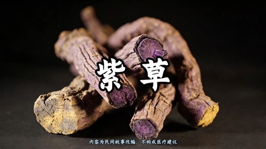 《听故事学中药——紫草：痘疹堂里的凉血透疹根》