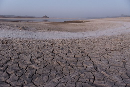 Plastics in Agriculture | Climate change | Food and Agriculture Organization of the United Nations