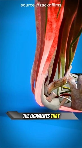 This Is What Happens When You Sprain Your Shoulder