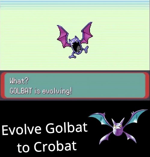 Get Crobat in Pokémon Emerald 🦇 #shorts