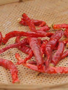 3.7M views · 69K reactions | The Spring Equinox arrives, and everything comes to life. Don't waste the spring and don't miss the farming season. | Nowi | Facebook