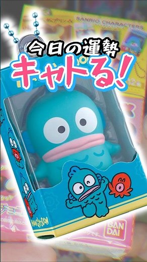 Chal 472【チョコボックス】サンリオキャラクターズ チョコボックス ボックスフィギュアコレクション（再販）／「ハンギョドン」チャレンジ ＃4【つまみ食い開封™】 #サンリオ #開封 #運勢