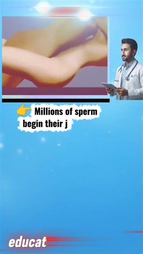 Fertilization Process: How Sperm Meets the Egg | 3D Medical Animation