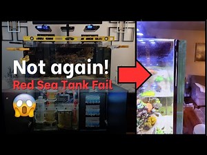 My Red Sea Reefer Tank is Failing...Again!