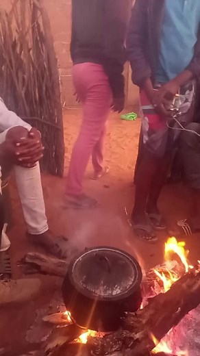 Outdoor Gathering Enjoying Rice and Meat Dishes