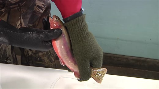 Game and Fish Commission approves hatchery expansion project in Casper