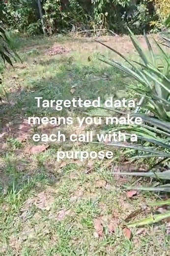 Cold Calling Success Starts with Data #coldcalling #leadgeneration