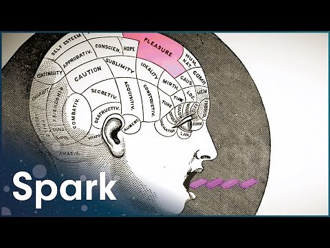 Why Humans Chew Gum | Dark Side Of The Chew