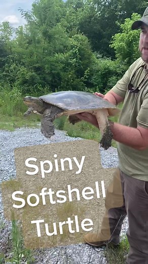 Kyle Lybarger on TikTok