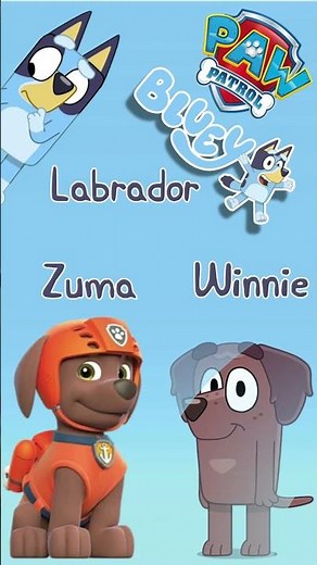 Bluey Paw Patrol Dress-Up! 👕 Preschool Adventure | Learn About Different Dogs