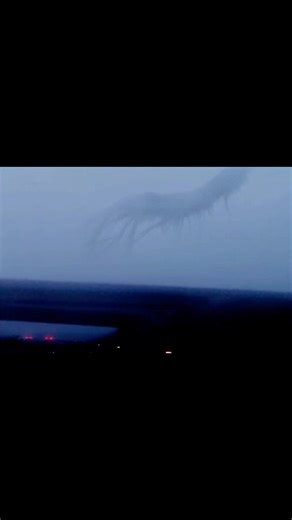 Mysterious Fog Creatures Captured on Film