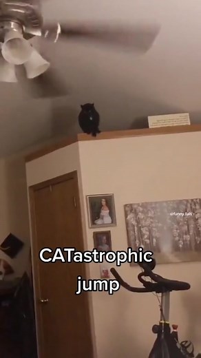 Funny Fuls on TikTok