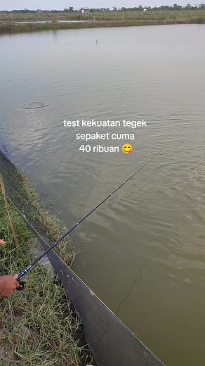 Set tegek mulai 40 ribuan #fyp #jorantegek #satuset #mancing #ikannila