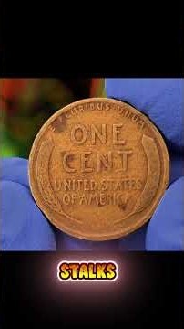 🪙 Old Wheat Pennies | Collector Value & Rare Varieties