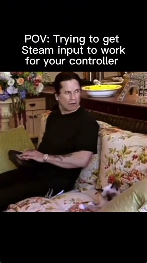 POV: Trying to get Steam input to work for your controller