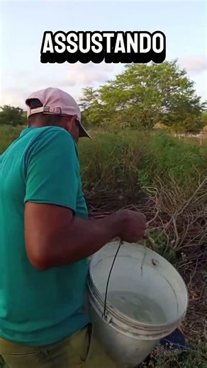 ELE ESQUECEU O CELULAR? #curiosidades #gaming #noticias #news