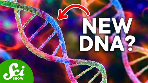 How we could rewrite our genetic code