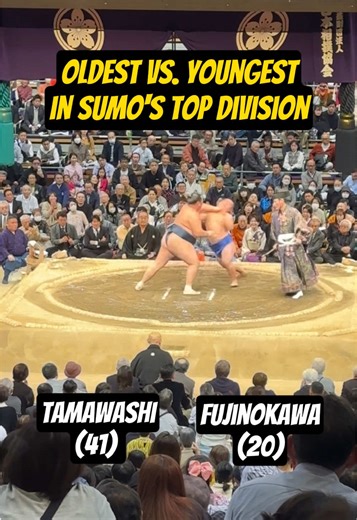 Oldest vs. Youngest in Sumo’s Top Division: Tamawashi vs. Fujinokawa #sumo #grandsumo #sumotournament #sumowrestling