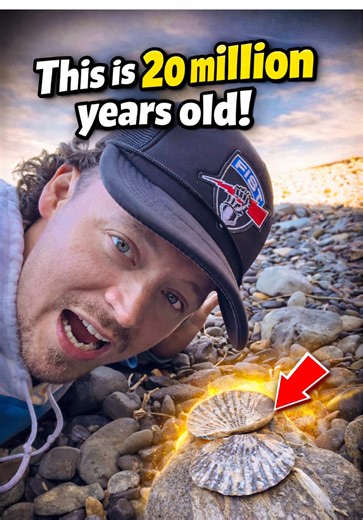 This is 20 Million Years Old! #fossils #animals #nature | Fossil