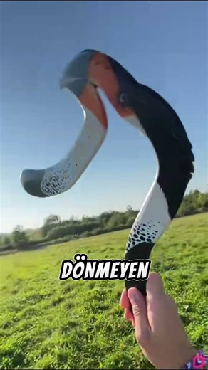 The Hidden Power of the Boomerang: Not a Toy, but a Weapon! 🪃💥