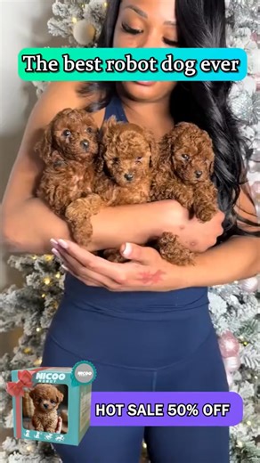 🐶 Meet NICOO — The Puppy You’ll Never Have to Train! 🐾 Looking for a cuddly companion without the hassle of barking, shedding, or vet visits? NICOO, the lifelike robot puppy, brings the joy of a real dog — without the responsibility. ✨ Why families love NICOO: ✅ Soft and huggable with realistic puppy features ✅ Reacts to touch and gentle movement ✅ Makes playful sounds and wags its tail ✅ A comforting companion for kids, seniors, or anyone who loves dogs ✅ No mess, no maintenance — just pure j