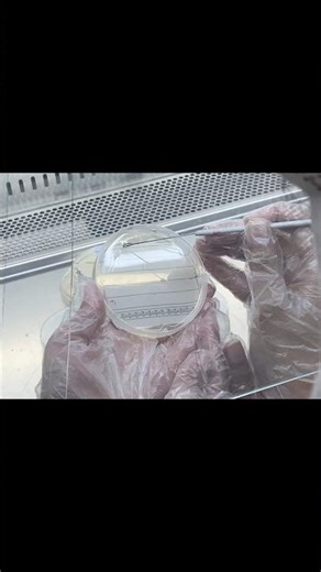 Streaking process #shorts#trending