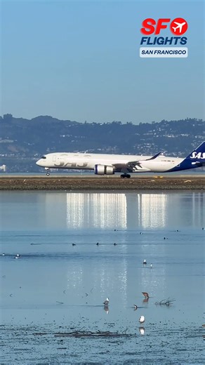 Smooth Landing 💙 Scandinavian Airlines Airbus A350 Arrives at San Francisco International Airport from Copenhagen 🇩🇰🌉 Jan 16, 2026 — #scandinavianairlines #sas #airbusa350 #planespotting #sfo #aviation #avgeek #smoothlanding #sfflights #fblifestyle | SF Flights