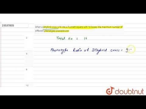 When a dihybrid cross is fit into a Punnett square with 16 boxes, the maximum nu
